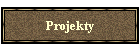 Projekty